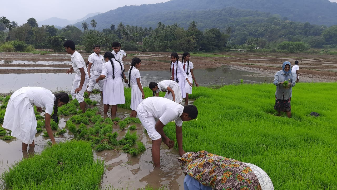 කෘෂිකර්ම සංගමය 