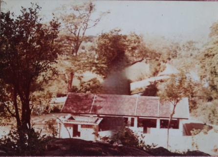 පාසලේ ඉතිහාසය